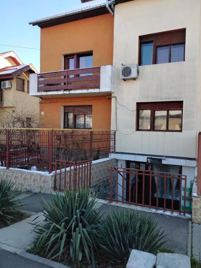 Apartament Cu Terasa La Casa Valentin Тимишоара Экстерьер фото