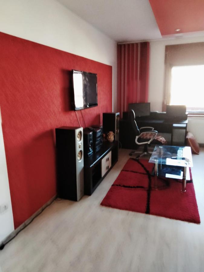 Apartament Cu Terasa La Casa Valentin Тимишоара Экстерьер фото