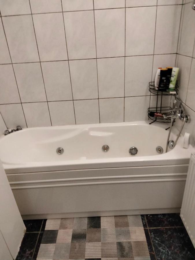 Apartament Cu Terasa La Casa Valentin Тимишоара Экстерьер фото