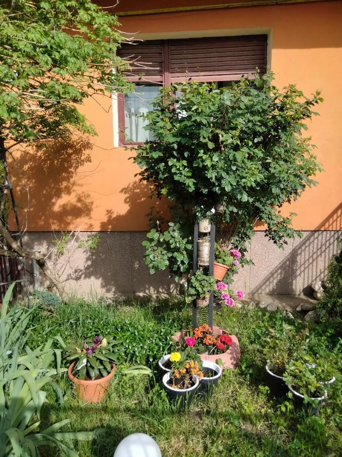 Apartament Cu Terasa La Casa Valentin Тимишоара Экстерьер фото