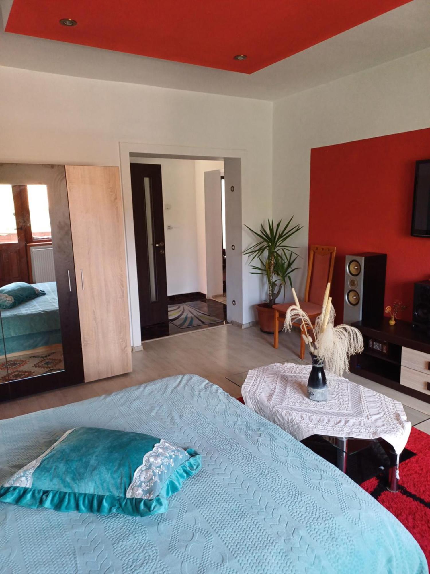 Apartament Cu Terasa La Casa Valentin Тимишоара Экстерьер фото