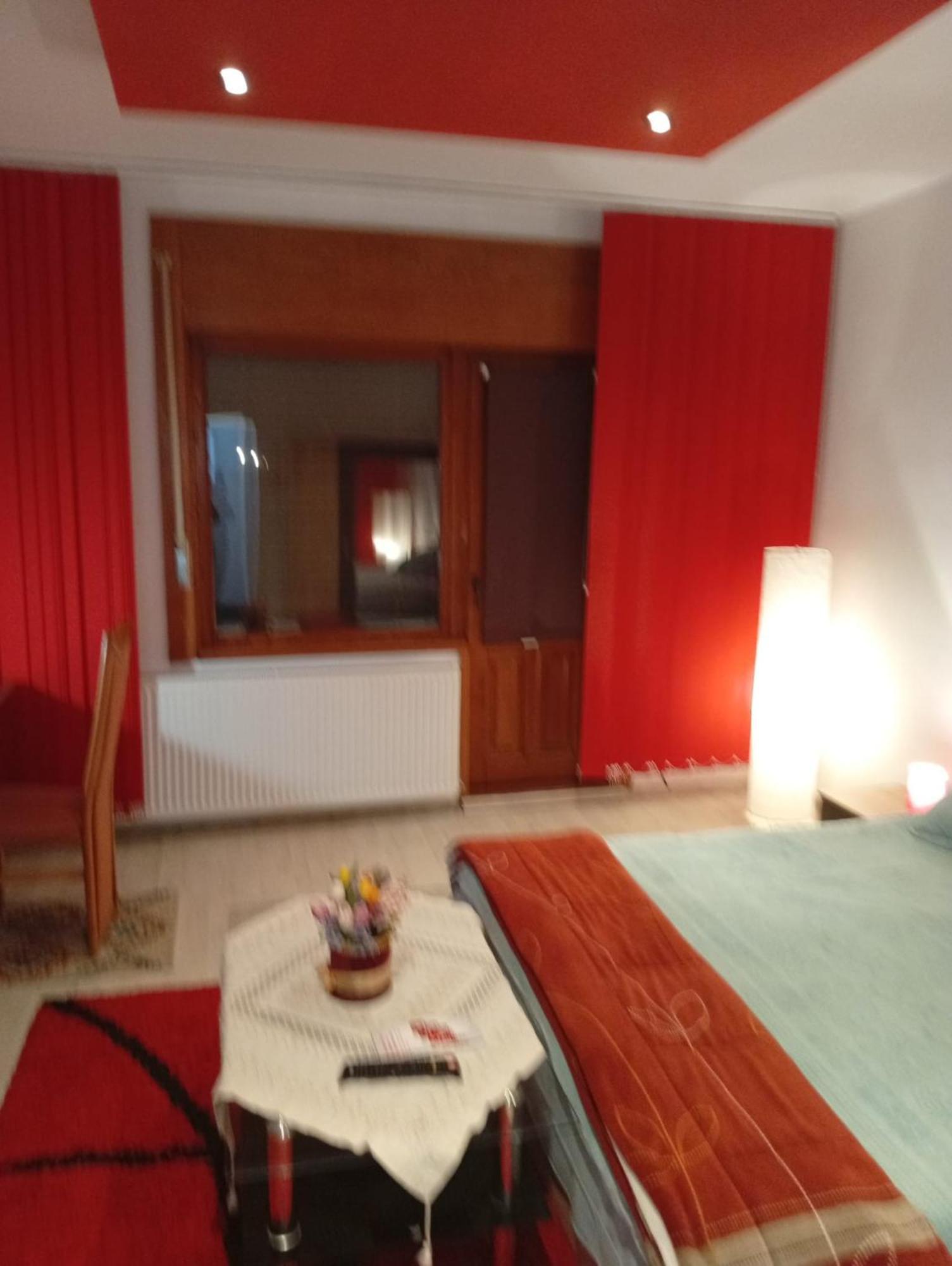 Apartament Cu Terasa La Casa Valentin Тимишоара Экстерьер фото
