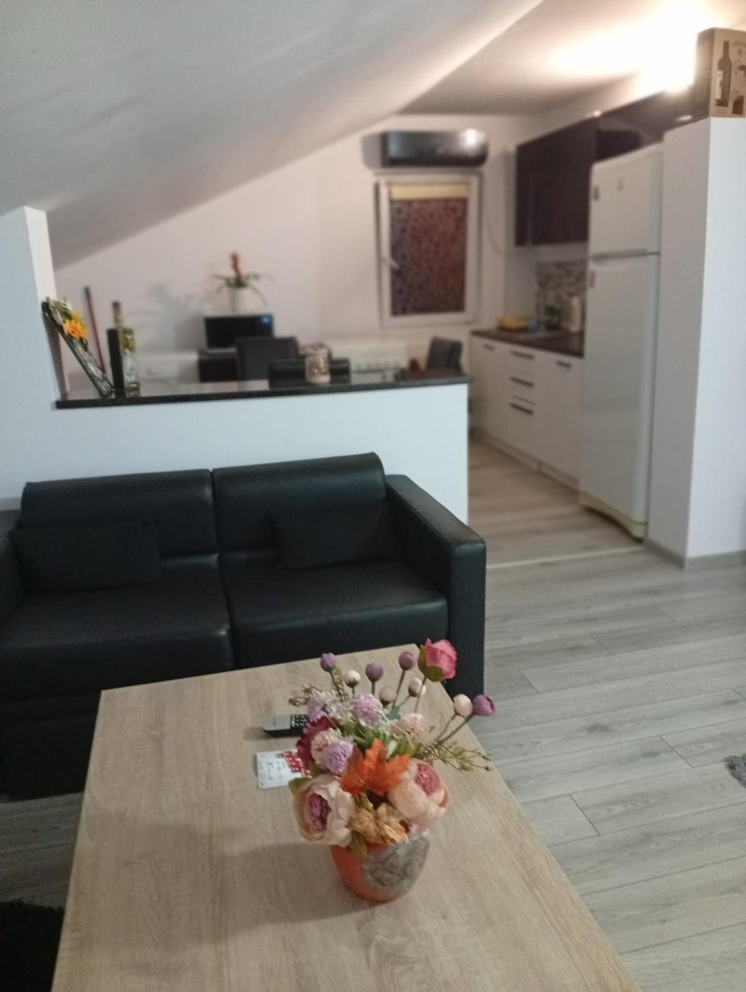 Apartament Cu Terasa La Casa Valentin Тимишоара Экстерьер фото